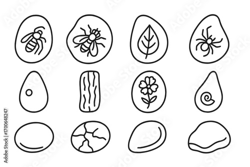 Amber Fossil Icons. Line style icons of amber fossils: insect in amber, trapped fly, leaf in resin, spider in amber; air bubble in