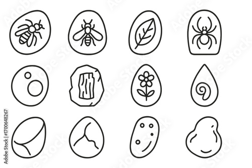 Amber Fossil Icons. Line style icons of amber fossils: insect in amber, trapped fly, leaf in resin, spider in amber; air bubble in