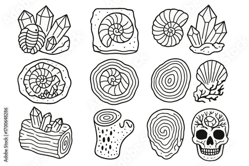 Line Art Fossil Icons. Line style icons of fossil and minerals: fossil with quartz, fossil in sandstone, crystal in fossil, fossil