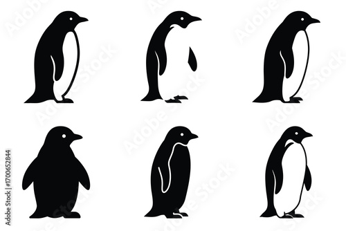 Penguin vector icon set, black color and white background
