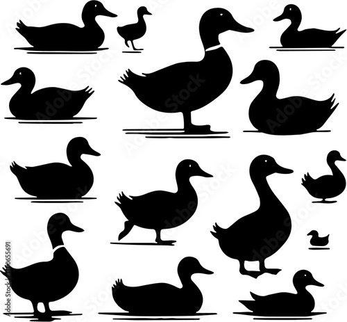 vector illustration set of duck silhouettes, isolated on white