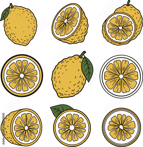 Collection of yellow citrus fruits whole and sliced with green leaves in a hand drawn style lemon yuzu