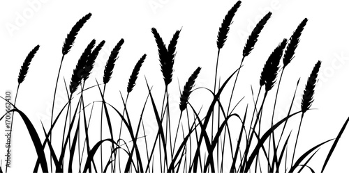 "Silhouette Grass Border Design"