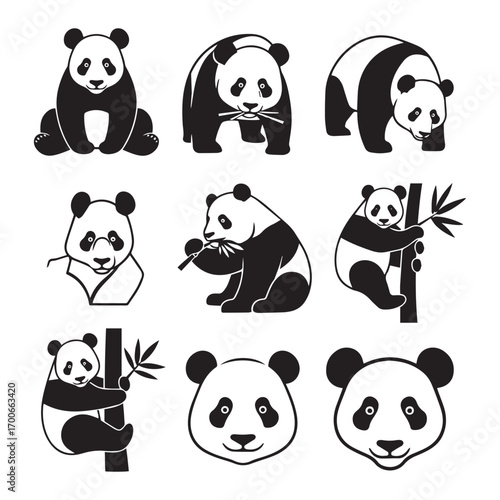Nine Black and White Panda Illustrations in Different Poses and Styles giant panda bear