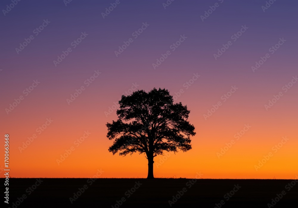 Fototapeta premium A solitary tree stands silhouetted against a breathtaking sunrise, showcasing a tranquil and peaceful atmosphere.