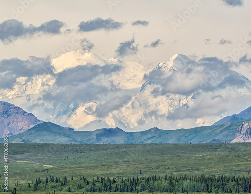 Mt. Denali