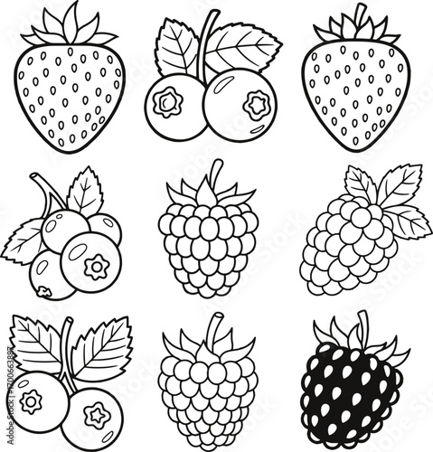 Outline Illustrations of Various Berries with Leaves on White Background Keywords: berry, fruit, strawberry, raspberry, blueberry, blackberry, outline, illustration