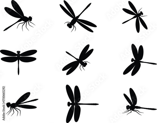 Dragonfly silhouette collection, flying insects vector illustration, black insect shapes isolated, nature wildlife design elements, dragonflies icons set, entomology artwork