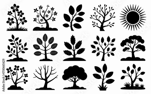 Vector art of silhouettes of different tree and sun, vector illustration