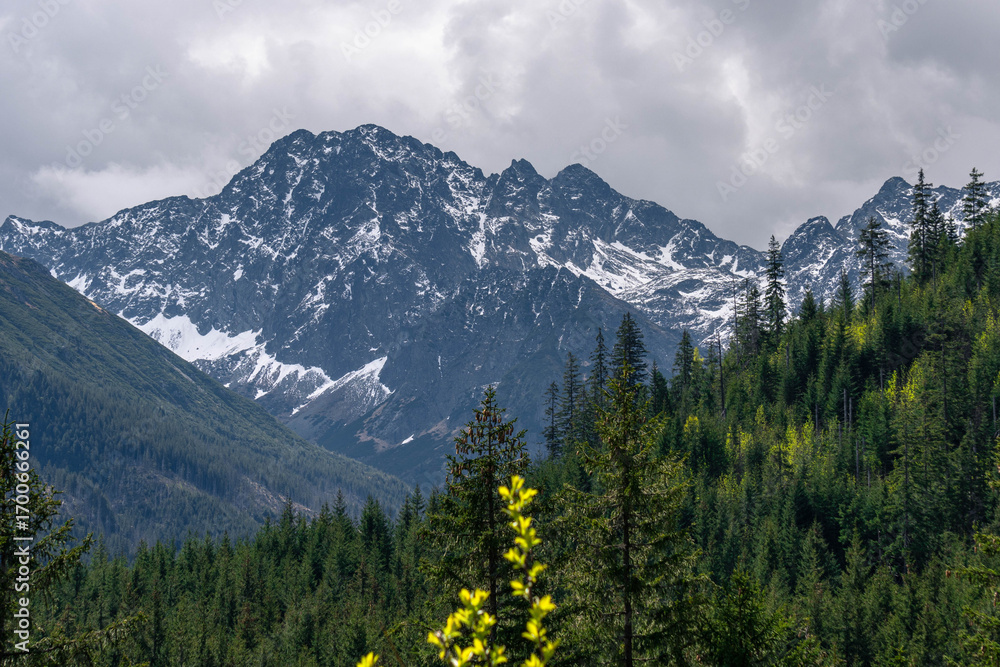 Fototapeta premium rocky high snow covered mountains with cloudy sky landscape