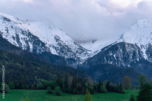 Fototapeta Naklejka Na Ścianę i Meble -  snow covered mountains tatry poland with clouds around and big pine trees