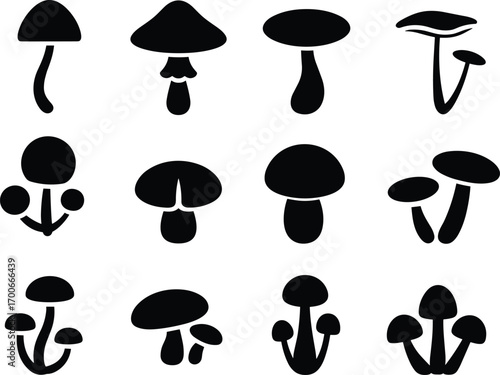 Mushroom silhouette collection, fungi vector illustration, edible mushrooms icons, wild forest fungus design, organic nature artwork, botanical symbol elements, gourmet food graphic