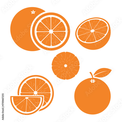 Assorted Orange Slices and Whole Oranges in a Flat Design Style on White Keywords: orange, citrus, fruit, food, healthy, vitamin C, sweet, juicy, refreshing, slice, half