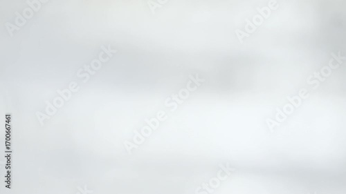Abstract motion gradient grey white background