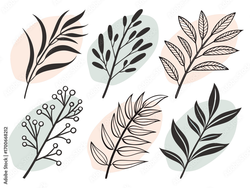 Obraz premium Minimalist Botanical Set with Abstract Shapes