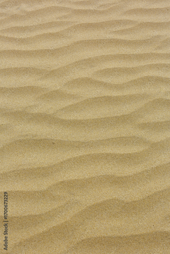 Fototapeta premium Beach sand texture with ripple pattern in desert.