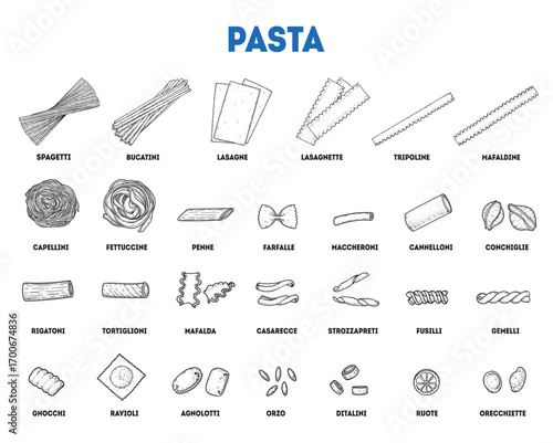 Traditional Italian pasta sketch collection. Italian food. Staple food. Hand drawn vector illustration. Design elements for packaging, menu. Not AI