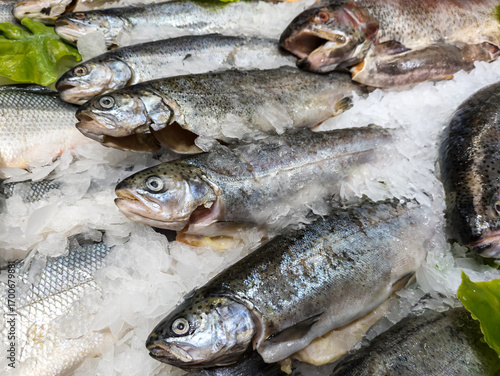 Chilled trout on a store counter