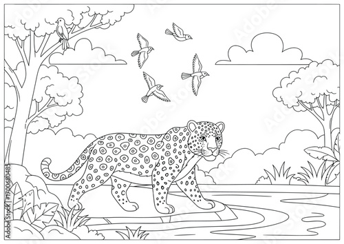 Leopard vector illustration of a wild feline standing on a rock beside a river in the jungle with tropical plants, trees, and birds overhead in scenic black and white line art for coloring projects
