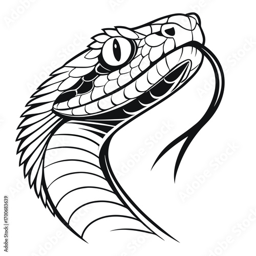 Monochrome Cobra Head with Striking Black and White Pattern Displaying a Threatening Gaze and Protruding Tongue