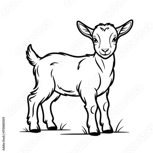 Cute baby goat standing in grass line art illustration