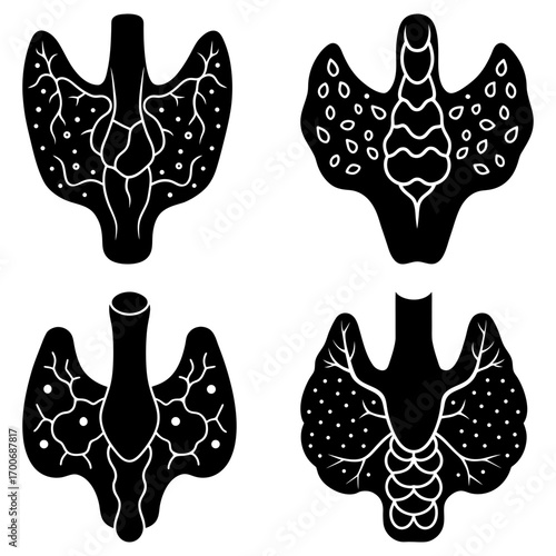 Four thyroid gland illustrations showing different anatomical variations and vasculature details