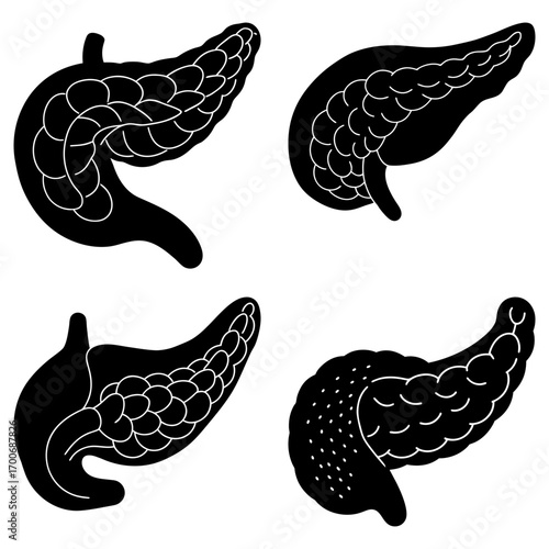 Four pancreas illustrations in black and white showing different angles of the organ anatomy and structure