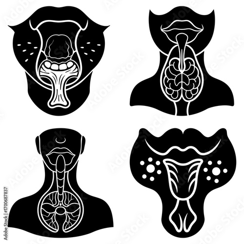 Anatomical illustrations showcasing the mouth throat thyroid and respiratory system in black and white style
