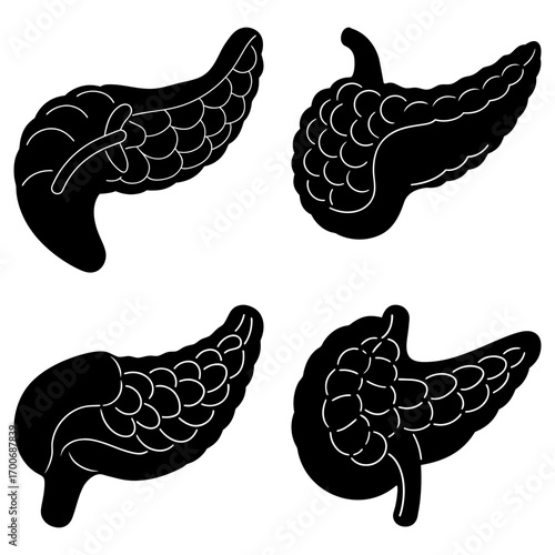 Four pancreas illustrations showing human organ anatomy in black and white medical diagram of the body part