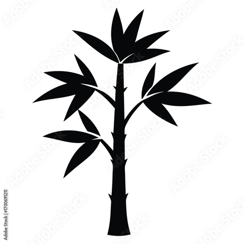 vector illustration of bamboo