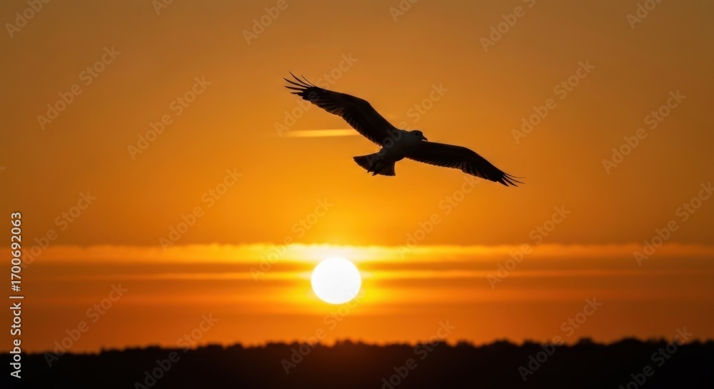 Fototapeta premium Silhouette of a bird in flight during a vibrant orange sunset