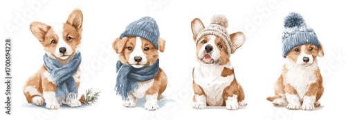 Adorable Vector corgi puppies in hats and scarves. Watercolor Christmas dog clipart set with cute animals for cozy holiday design. Collection of winter illustrations. Perfect for cards, posters