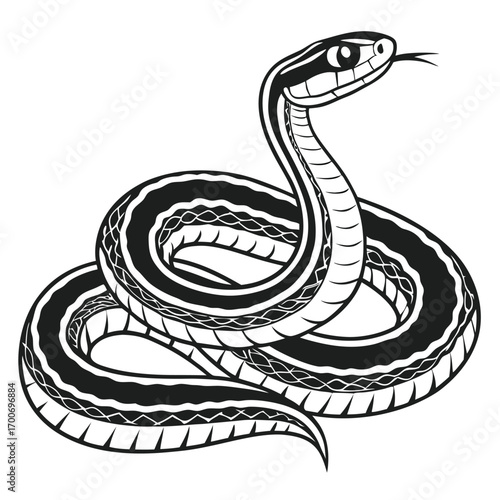 Coiled Snake Illustration Striking a Pose in Black and White, Venomous Reptile with Intricate Scale Detail, Wildlife Serpent Depicted