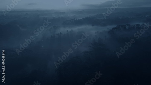 Top shot of jungles in Sri Lanka at night. Panoramic camera movement