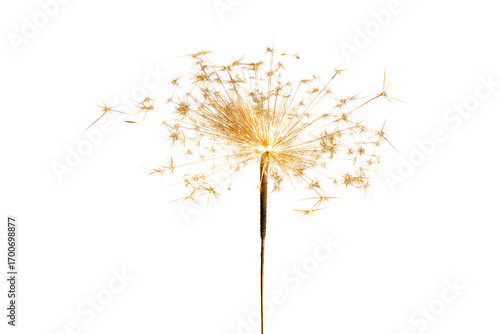 Wallpaper Mural sparkler burning bright  isolated on white background Torontodigital.ca