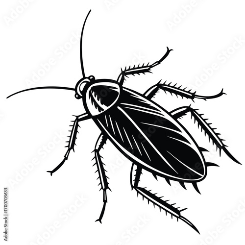 A Graphic Illustration of a Cockroach with Detailed Legs and Antennae Depicting a Common Household Pest Black and White