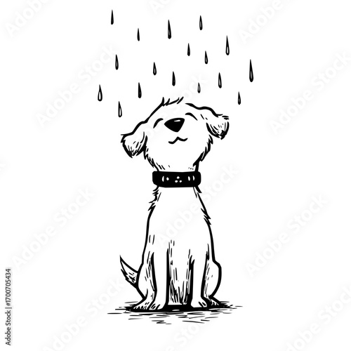 Cute dog enjoying the rain illustration vector art for pet lovers and rainy day themed designs and backgrounds