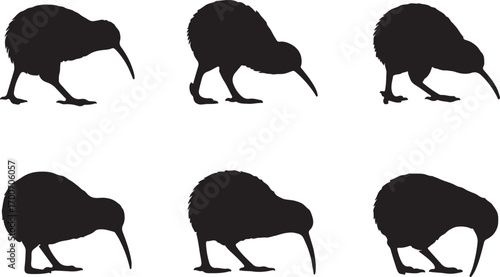 Six black kiwi bird silhouettes 