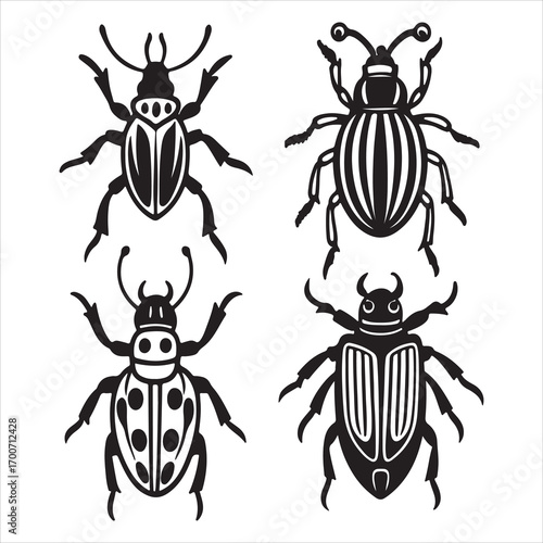 An Armored and Resilient Beetle, a Sturdy Coleoptera with a Glossy Iridescent Exoskeleton, a Unique Decomposer of the Natural World