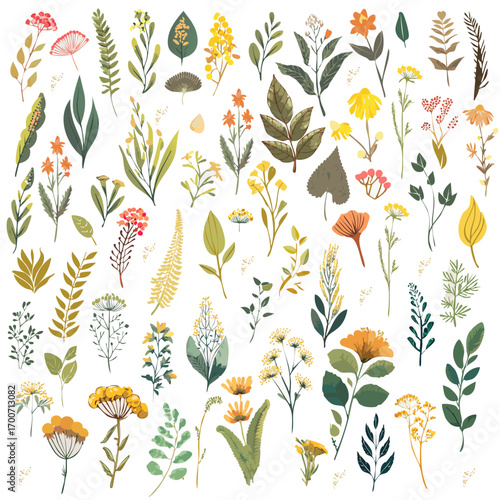 Detailed repeating botanical pattern - "Herbarium" textile pattern with hand-drawn herbs and wildflowers.