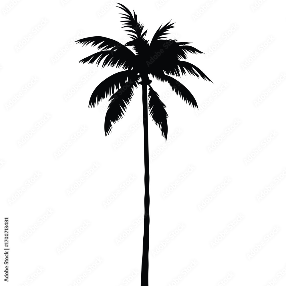 Obraz premium Nature Palm Tree Silhouette Graphic Design