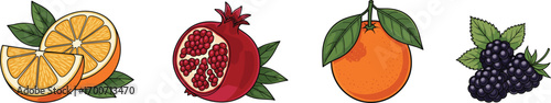 Vector illustration of assorted fruits including sliced oranges, pomegranate with seeds, fresh orange with leaves, and blackberry cluster in colorful healthy food design