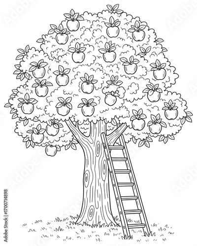 Apple tree illustration featuring a large fruit-filled tree with a ladder leaning against the trunk, drawn in a clean cartoon outline style perfect for coloring pages and creative design resources