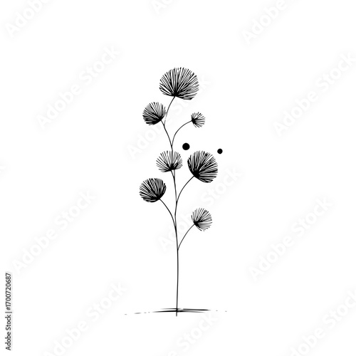 Stylized plant with round spiky flowers and two black dots on a white background, artistic sketch style