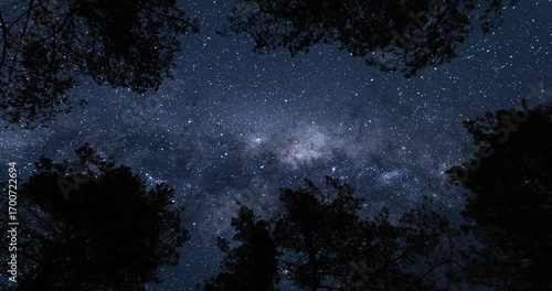 View from earth on Milky Way from forest. Timelapse shot, Earth rotation concept. Camera is zooming out. Wide angle lens shot