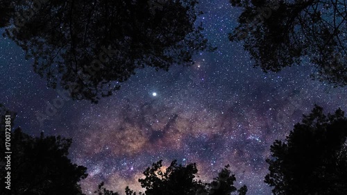 Upward gaze at the sky on starry sky with Milky Way from forest. Timelapse shot, Earth rotation concept. Camera is zooming out