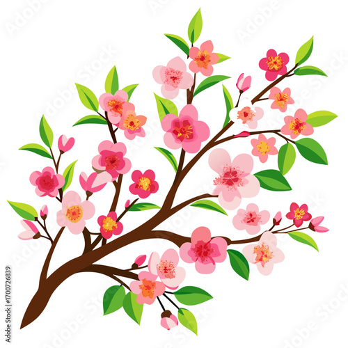 cherry blossom branch