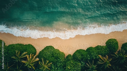 Tropical beach landscape