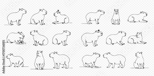 A collection of black and white line art illustrations showing cute capybaras in various poses, including sitting, standing, and lying down.