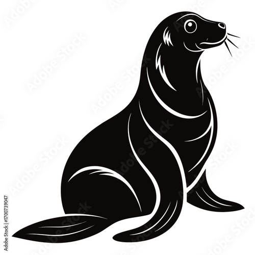 sea lion vector illustration